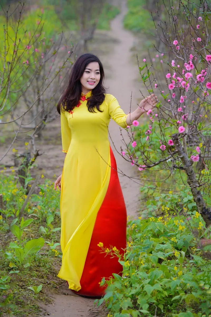 Áo dài vàng trung niên nhã nhặn phù hợp sự kiện